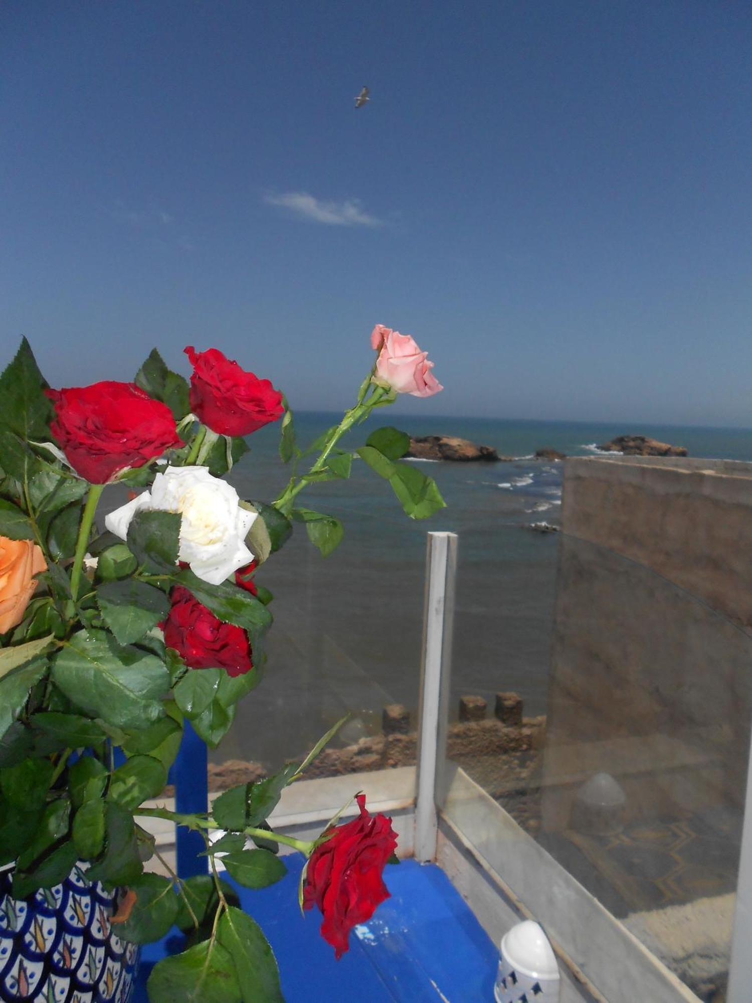 La Fontaine Bleue Hotel Essaouira Exterior photo